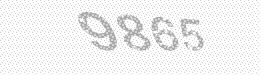 Visual security code — type the characters shown in the image
